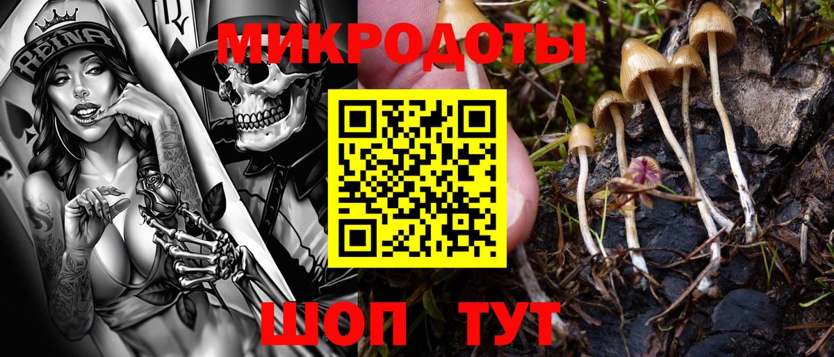 Псилоцибиновые грибы Psilocybe  Вход с VPN  Тихорецк 