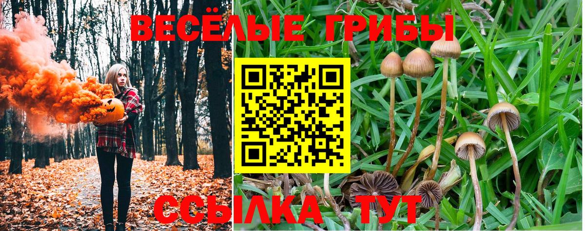 Галлюциногенные грибы GOLDEN TEACHER Тихорецк